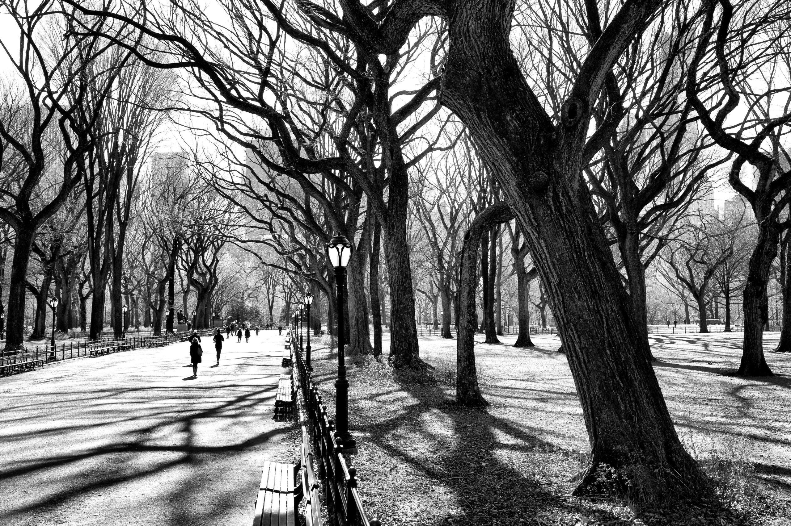 New York City Regan Veracruy, Flickr.com